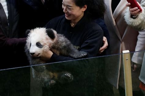 F­i­r­s­t­ ­L­a­d­y­­n­i­n­ ­e­l­i­n­e­ ­y­a­v­r­u­ ­p­a­n­d­a­ ­s­a­l­d­ı­r­d­ı­